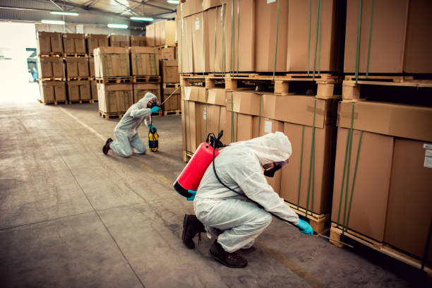 Best Best Pest Control Companies  in Rochelle, GA