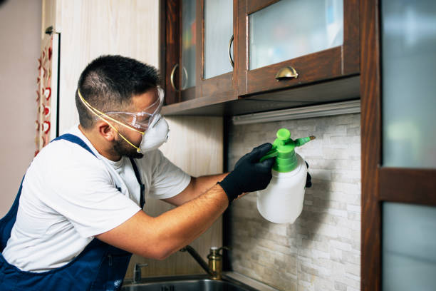 Best Wildlife Control Services  in Rochelle, GA