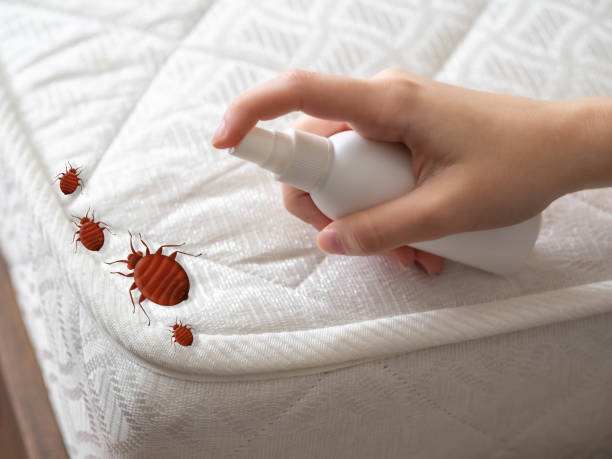Best Best Pest Control Companies  in Rochelle, GA
