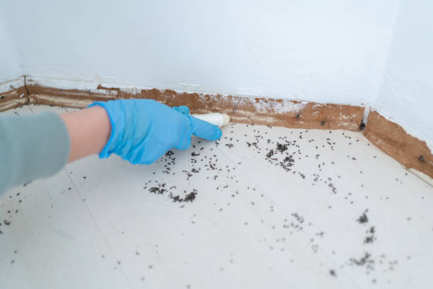 Best Commercial Pest Control Services  in Rochelle, GA